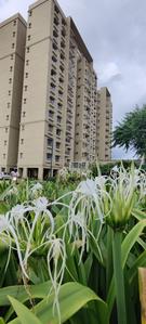 Balcony Image of 1915 Sq.ft 3 BHK Apartment / Flat for sale in Mahima Shubh Nilay, Bhankrota Jaipur for Rs. 9958000