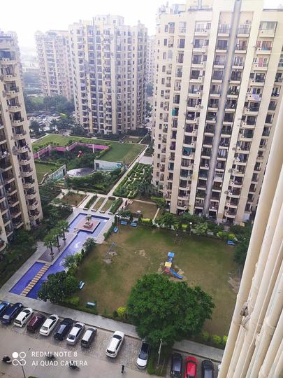 RPS Savana Main Image 1