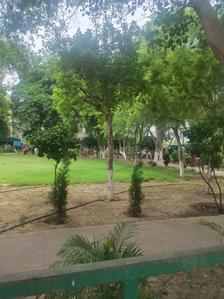Image of 520 Sq.ft Residential Plot / Land for sale in Sector 46, Gurgaon for Rs. 130000000