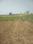 Ranipur Main Image 1