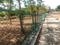 KNS HILLS VIEW Plot View 2