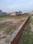 Mohanlalganj Plot View 2