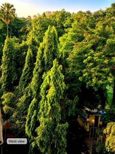 Image of 1850 Sq.ft 3 BHK Apartment / Flat for sale in Chembur, Mumbai for Rs. 39900000