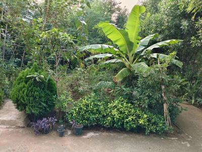 Image of 700 Sq.ft 1 RK Apartment / Flat for rent in Sector 53, Gurgaon for Rs. 25000