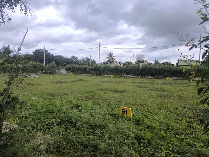 Telecom wood land city Main Image 1