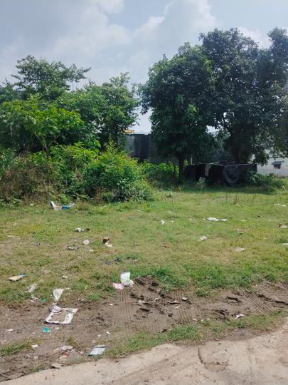 Chaman Vihar Phase 2 Main Image 1