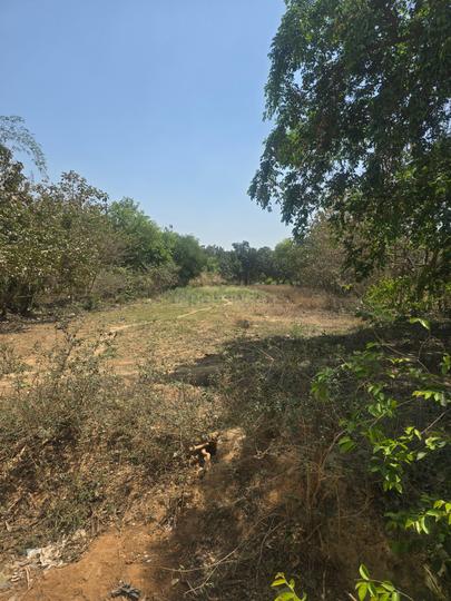 Arrah Patna buxar highway  Main Image 1