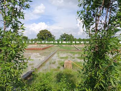 Shiv Nagar Colony Plot View 2