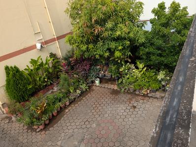 Balcony Image of 2222 Sq.ft 2 BHK Independent House for sale in New Siddhapudur Coimbatore for Rs. 140000000