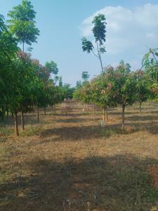 Image of 212 Sq.ft Residential Plot / Land for sale in Jinnaram, Sangareddy for Rs. 2300000