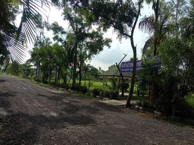 Image of 720 Sq.ft Residential Plot / Land for sale in Amtala, Kolkata for Rs. 320000