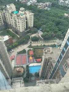 Balcony Image of 983 Sq.ft 2 BHK Apartment / Flat for rent in Amrapali Eden Park, Sector 50 Noida for Rs. 41000