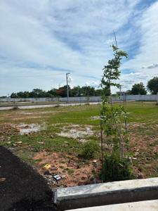 Image of 1500 Sq.ft Residential Plot / Land for sale in VS Garden City, Gundur, Tiruchirappalli for Rs. 3300000