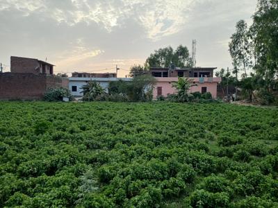 Image of 3400 Sq.ft Residential Plot / Land for sale in C.B.Ganj, Bareilly for Rs. 900000
