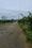 Patancheru Plot View 2