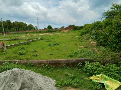 Image of 1250 Sq.ft 1 RK Farm House for sale in Ashiyana, Lucknow for Rs. 3250000