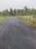 Bheemunipatnam Plot View 2