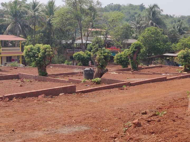 Dapoli Camp Main Image 1