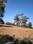 Olive Wood 2 Plot View 1