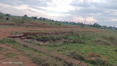 Tamando Plot View 3