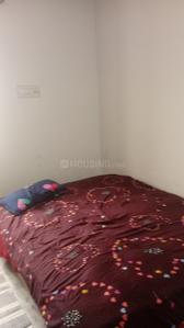 Bedroom Image of new PG in Khema-Ka-Kuwa, Jodhpur