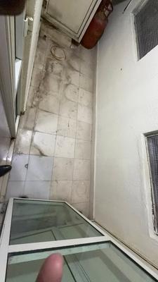 Balcony Image of 800 Sq.ft 1 BHK Apartment / Flat for rent in Hiranandani Flora, Hiranandani Estate Thane for Rs. 35000