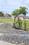 Wimco Nagar Plot View 2