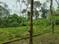 Thiruvalla Main Image 1