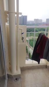 Image of 805 Sq.ft 2 BHK Apartment / Flat for rent in Amrapali Dream Valley 2, Noida Extension, Greater Noida for Rs. 18000