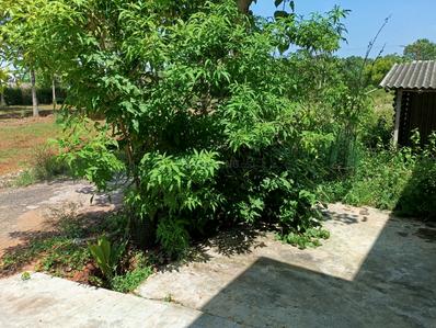 Image of 1200 Sq.ft 2 BHK Independent House for sale in RK Garden Phase II, Madukkarai, Coimbatore for Rs. 7000000