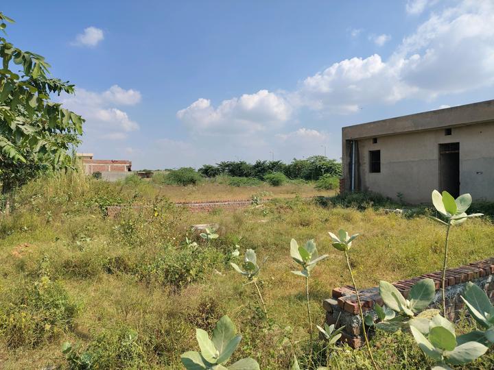 Yeida Main Image 1