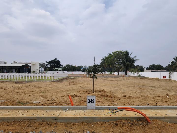 Ruby Sizzle Heritage Main Image 1