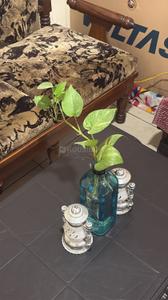 Bedroom Image of 750 Sq.ft 1 RK Apartment / Flat for rent in Sector 63 Mohali for Rs. 10500