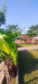 Image of 1864 Sq.ft Residential Plot / Land for sale in Bhilai Marshalling Yard, Charoda for Rs. 2982600