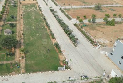 Residential Plot