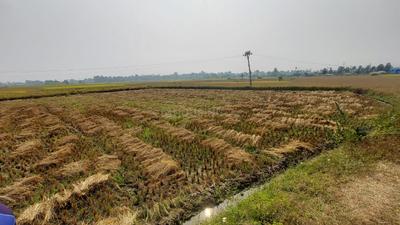 Image of 4356 Sq.ft Residential Plot / Land for sale in Amadalavalasa, Srikakulam for Rs. 2600000