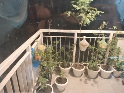 Balcony Image of 1535 Sq.ft 2.5 BHK Apartment / Flat for sale in M3M Woodshire, Sector 107 Gurgaon for Rs. 14200000