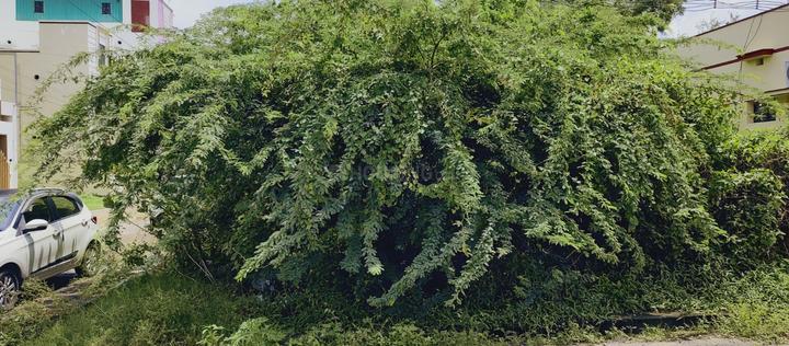 Old Suramangalam Main Image 1