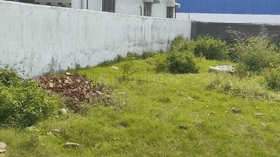 Simaliya Plot View 3