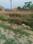 Akhari Plot View 2