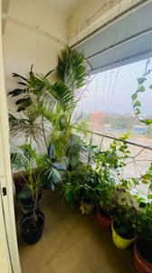 Balcony Image of 1000 Sq.ft 3 BHK Apartment / Flat for sale in Himalaya Residency, Misrod Bhopal for Rs. 5500000