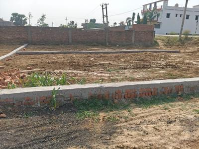 Bihta Plot View 3