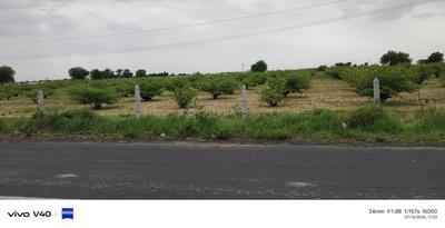 Vanthal Plot View 3