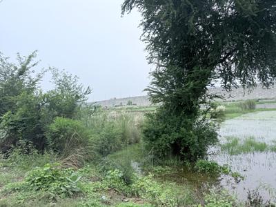 Image of 6800 Sq.ft Residential Plot / Land for sale in Kisan Path, Lucknow for Rs. 28560000