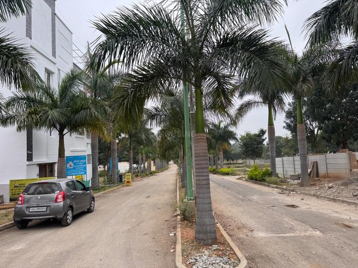 KNS Ojas Main Image 1