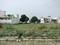 Sector 76 Plot View 1