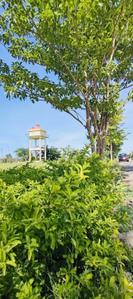 Image of 900 Sq.ft Residential Plot / Land for sale in Kalena Agrahara, Bengaluru for Rs. 1619100