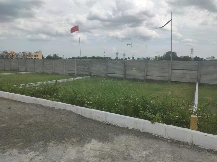 Blissful Living Main Image 1