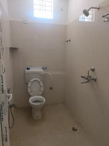Bathroom Image of 900 Sq.ft 2 BHK Apartment / Flat for rent in Danapur Patna for Rs. 15000