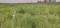 Danapur Main Image 1
